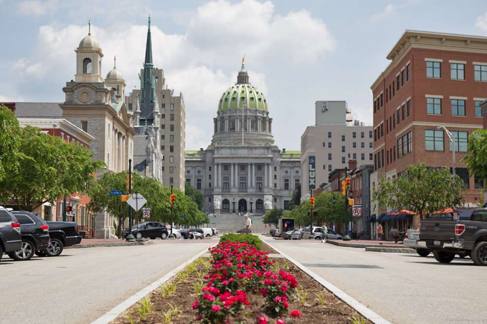 Harrisburg Commercial Wall Murals & Window Graphics