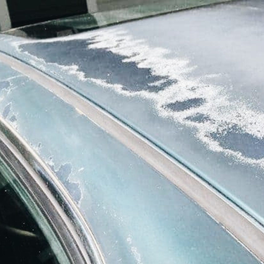 Can a Vehicle Wrap Damage Paint?